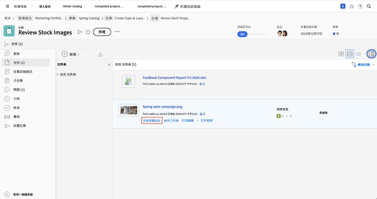 影像顯示專案的「文件」區段，其中已選取一個校訂，且標示出「文件詳細資訊」。