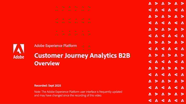 Customer Journey Analytics B2B概觀熒幕擷圖